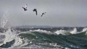 Selkämeri: Karun kaunis avomeri: 26.12.2015 18.40