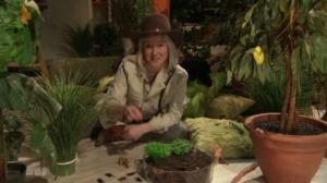 BUU-klubben: Tiikeriankan poppoo: 18.03.2016 18.00