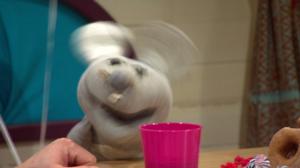 BUU-klubben: Tilda ja hänen ystävänsä: 30.04.2016 18.45