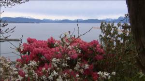 Iloa puutarhasta: 06.04.2016 19.00