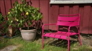 Iloa puutarhasta: 04.05.2016 19.00