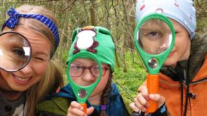 Undra sa flundra: 1.11 2015 Förstoring: 01.12.2015 23.59