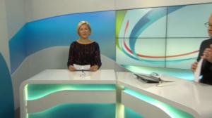 Yle News: 11.01.2016 15.05