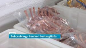 Oddasat: 02.05.2016 20.45