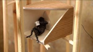 Yle Uutisluokka Triplet: Hotellit matkivat nyt lapsuuden majoja (S): 28.10.2015 14.42