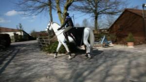 Ratsastuksen maailma: 08.05.2016 11.50