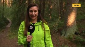 Yle Uutiset Häme: Uusi Yle uutiset Hämeestä aloittaa (S): 09.11.2015 17.02