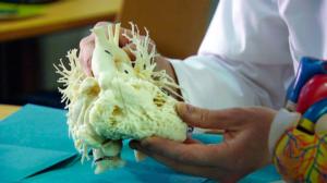 Akuutti: 07.03.2016 18.30