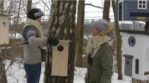 Puoli seitsemän: 01.03.2016 18.30