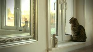 Pisara: 16.01.2016 15.10