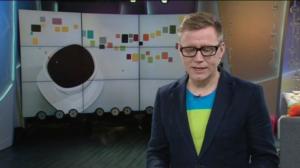 Luonto lähellä: sinisampea Kotkassa (S): 23.11.2015 08.46