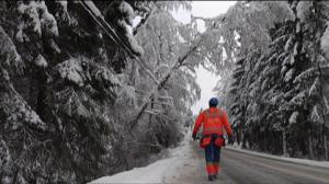 Yle Uutisluokka Triplet: Lumen aiheuttamat sähkökatkokset kiusasivat Keski-Suomea (S): 23.11.2015 18.07