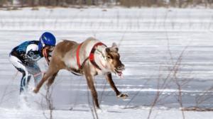 Maailman oudoimmat urheilulajit: 23.03.2016 09.03