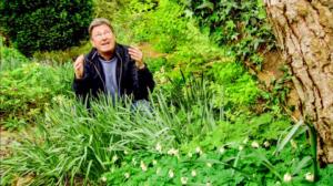 Rakkaudesta puutarhaan: 10.05.2016 19.00