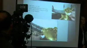 Yle Nyheter TV-nytt: Tutankhamons guldmask är tillbaka på Egyptiska museet i Kairo efter en komplicerad restaurering. (S): 17.12.2015 19.19