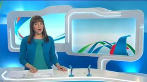 Yle Uutiset Itä-Suomi: Yle Uutiset Itä-Suomi 04-01-2016 Klo 17-06: 04.01.2016 16.32