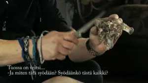 Volga 30 päivässä: Volga 30 päivässä 10/10: 11.01.2016 14.28