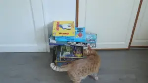 Caron puhdistus: Turhat kirjat, pelit ja lehdet: 28.04.2016 12.04