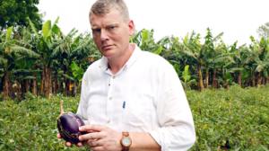 Panorama: Hyvä vai paha geenimuuntelu?: 01.02.2016 20.00