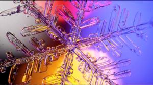 Yle Uutisluokka Triplet: Pekka Honkakosken kuvaama lumikide koristaa perjantaina julkaistavaa postimerkkiä (S): 21.01.2016 12.06