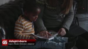 Radio Vega Österbotten: Medieettornas tv-sändning (S): 02.02.2016 11.00