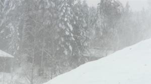 Mediataitoviikko: Leikitään: Vuorenvalloitus: 03.02.2016 10.36