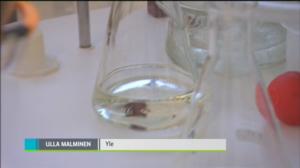 Yle Uutisluokka Triplet: Uusi kanditutkinto yhdistää useita pääaineita (S): 08.02.2016 10.14