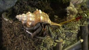 Luonto lähellä: 15.02.2016 08.44