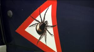 Yle Uutisluokka Triplet: Punkkien levittämiä sairauksia yhä enemmän (S): 18.02.2016 10.13