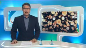 Yle Uutiset Lappi: Yle Uutiset Lappi 24-02-2016 Klo 18-22: 24.02.2016 17.58