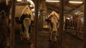 Yle Uutiset Itä-Suomi: Yle Uutiset Itä-Suomi 26-02-2016 Klo 17-06: 26.02.2016 16.44