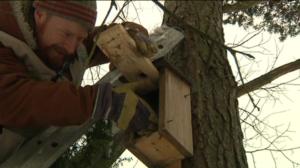 Luonto lähellä: 29.02.2016 08.54