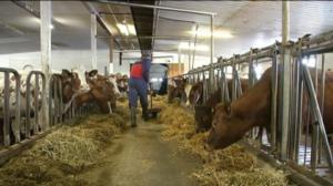 Yle Uutiset Itä-Suomi: Yle Uutiset Itä-Suomi 29-02-2016 Klo 17-06: 29.02.2016 16.29