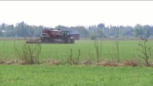 Yle Uutiset Pohjanmaa: Yle Uutiset Pohjanmaa 02-03-2016 Klo 17-06: 02.03.2016 16.58