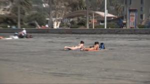 Luonto lähellä: Valaiden vaellus Kaliforniassa (S): 07.03.2016 08.30