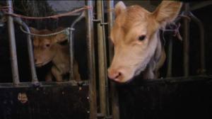 Yle Uutiset Itä-Suomi: Yle Uutiset Itä-Suomi 07-03-2016 Klo 17-06: 07.03.2016 16.35