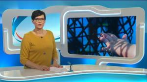 Yle Uutiset Pohjois-Suomi: Yle Uutiset Pohjois-Suomi 07-03-2016 Klo 18-22: 07.03.2016 18.18