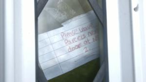 VICE: The Story of Maisie: 22.03.2016 10.15