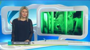 Yle Uutiset Itä-Suomi: Yle Uutiset Itä-Suomi 10-03-2016 Klo 18-22: 10.03.2016 17.55