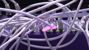 Yle Uutiset Pohjanmaa: Yle Uutiset Pohjanmaa 14-03-2016 Klo 17-06: 14.03.2016 16.40