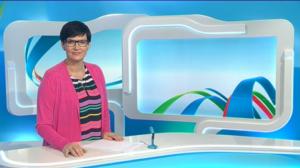 Yle Uutiset Lounais-Suomi: Yle Uutiset Lounais-Suomi 14-03-2016 Klo 18-22: 14.03.2016 18.09