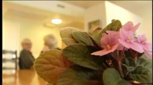 Yle Uutiset Pirkanmaa: Yle Uutiset Pirkanmaa 16-03-2016 Klo 17-06: 16.03.2016 16.35