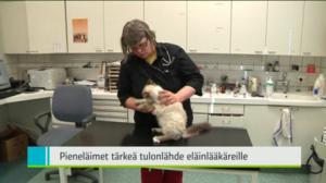 Yle Uutiset Pohjanmaa: Yle Uutiset Pohjanmaa 16-03-2016 Klo 18-22: 16.03.2016 17.52