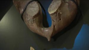 Luonto lähellä: 21.03.2016 08.26