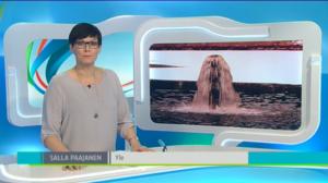 Yle Uutiset Häme: Yle Uutiset Häme 21-03-2016 Klo 18-22: 21.03.2016 18.45