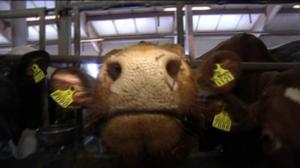 Yle Uutiset Pohjois-Suomi: Yle Uutiset Pohjois-Suomi 23-03-2016 Klo 17-06: 23.03.2016 16.38