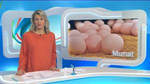 Yle Uutiset Häme: Yle Uutiset Häme 23-03-2016 Klo 18-22: 23.03.2016 18.44