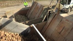 Yle Uutiset Lounais-Suomi: Yle Uutiset Lounais-Suomi 24-03-2016 Klo 17-06: 24.03.2016 16.29