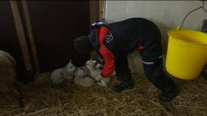 Yle Uutiset Itä-Suomi: Yle Uutiset Itä-Suomi 24-03-2016 Klo 17-06: 24.03.2016 16.36