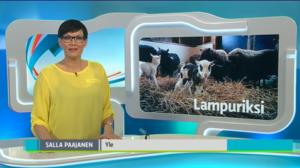 Yle Uutiset Itä-Suomi: Yle Uutiset Itä-Suomi 24-03-2016 Klo 18-22: 24.03.2016 17.47